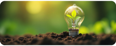 Eine Glühbirne steht im Boden, aus der ein kleiner grüner Trieb wächst. Der Hintergrund zeigt verschwommene grüne Pflanzen in warmem Licht, was eine ansprechende, natürliche Atmosphäre schafft. Die Szene symbolisiert Wachstum und Nachhaltigkeit.